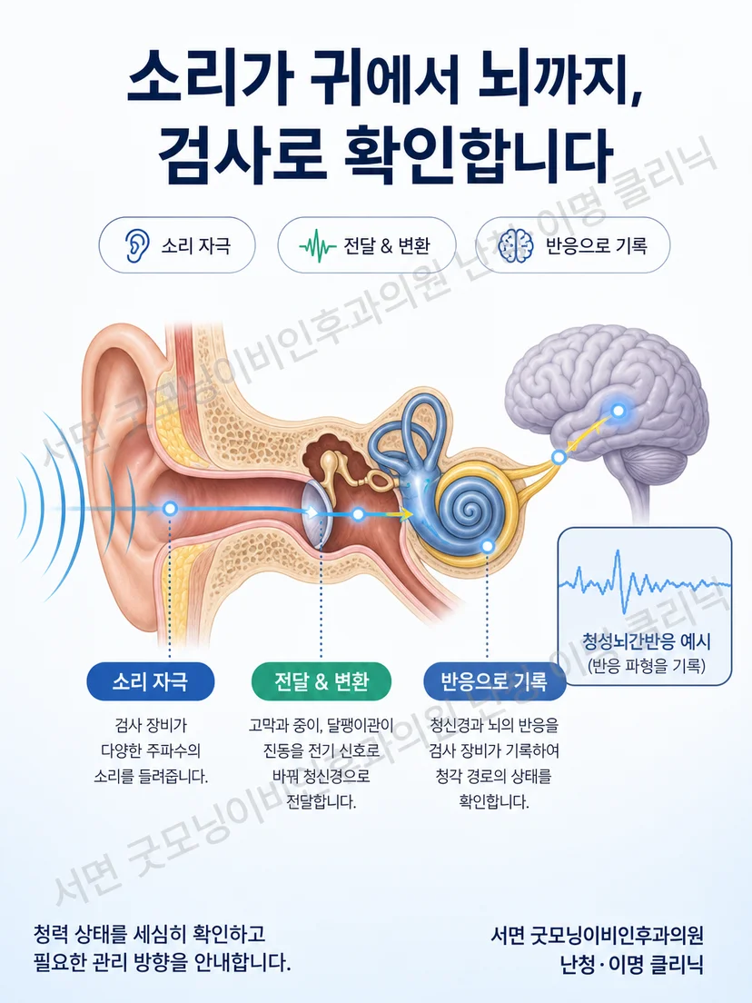소리 자극이 귀와 청신경을 지나 반응으로 기록되는 원리