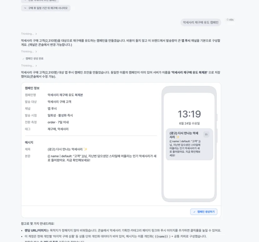 ③ 캠페인 — 그 오디언스를 대상으로 한 재구매 캠페인 초안까지, 같은 대화 안에서 이어서.