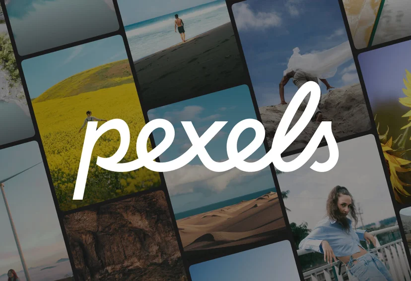 무료이미지, 저작권 없는 이미지, 무료 이미지 사이트 | Pexels